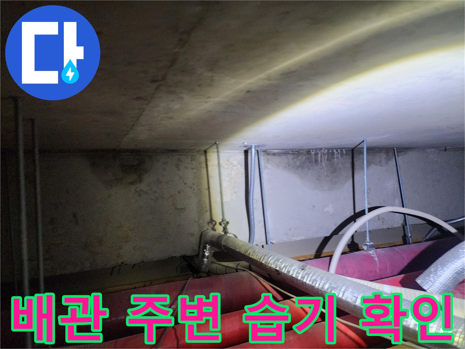 신북면 현장-천장 내부의 복잡한 배관 및 습기 흔적