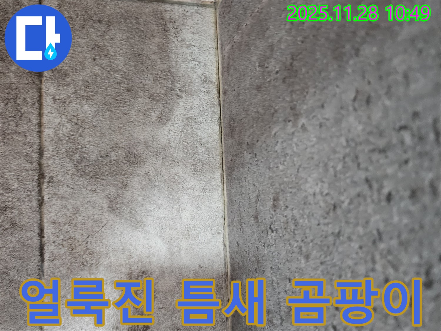 포천 신북면 금동리 - 곰팡이로 얼룩진 욕실 틈새, 곰팡이 제거로 깨끗하게!