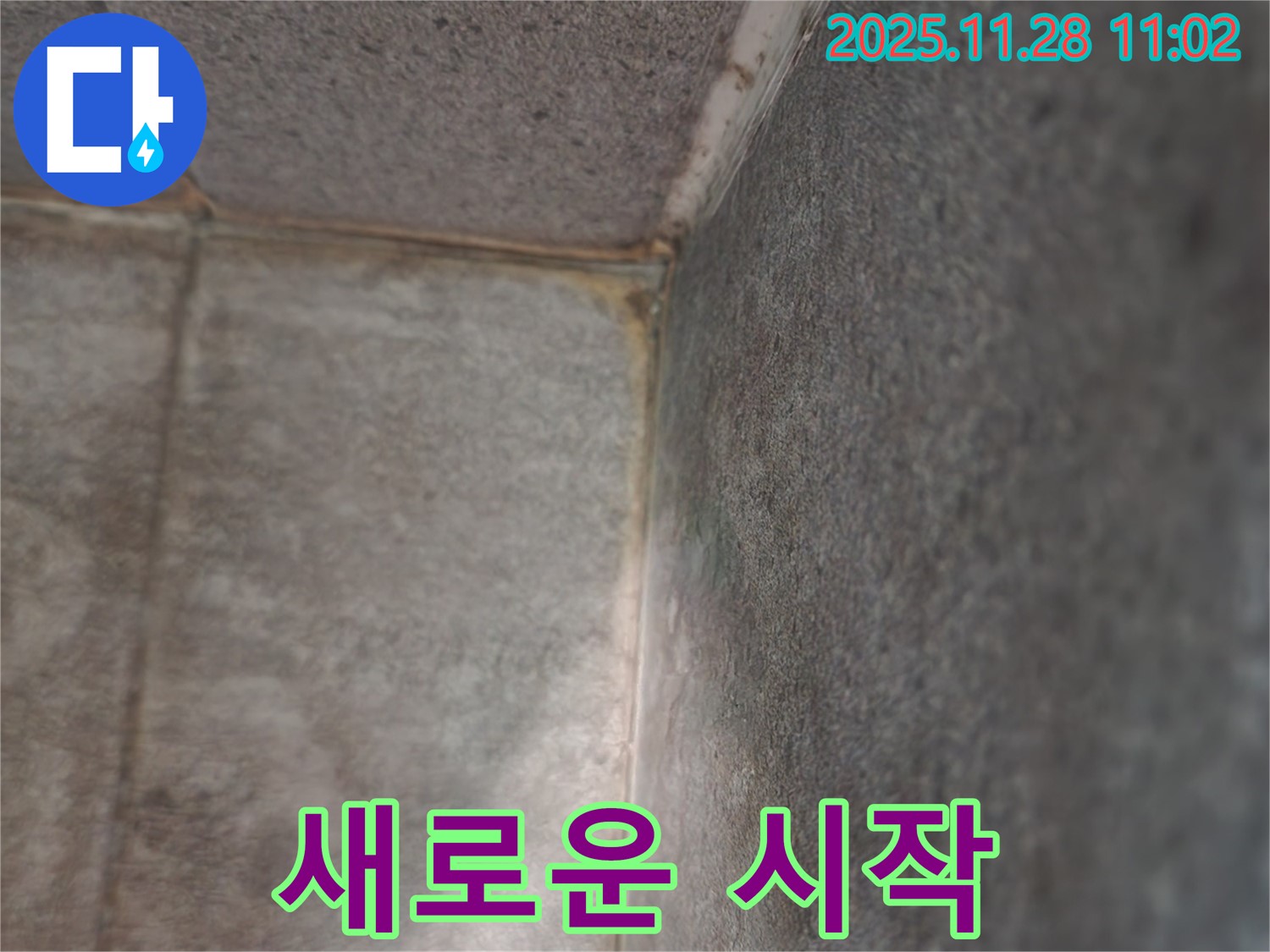 포천 욕실 누수 - 곰팡이와의 악연 끊기, 쾌적한 욕실 새로운 시작