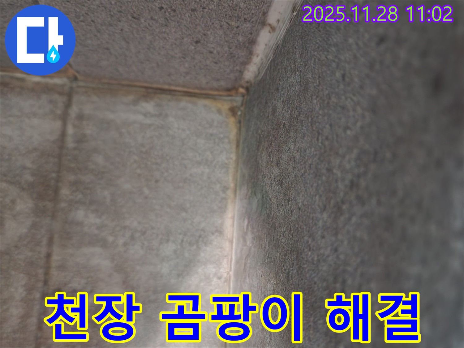 포천시 신북면 욕실 - 천장 곰팡이 문제 완벽 해결