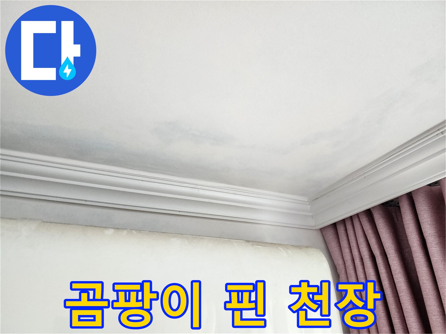 상대원동 아파트 천장 곰팡이 - 긴급 누수 점검 및 원인 파악
