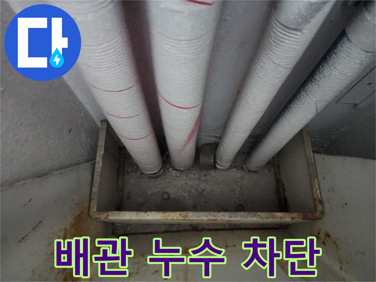 장안구 율전동 누수 - 아파트 배관 누수, 신속한 차단으로 피해 최소화