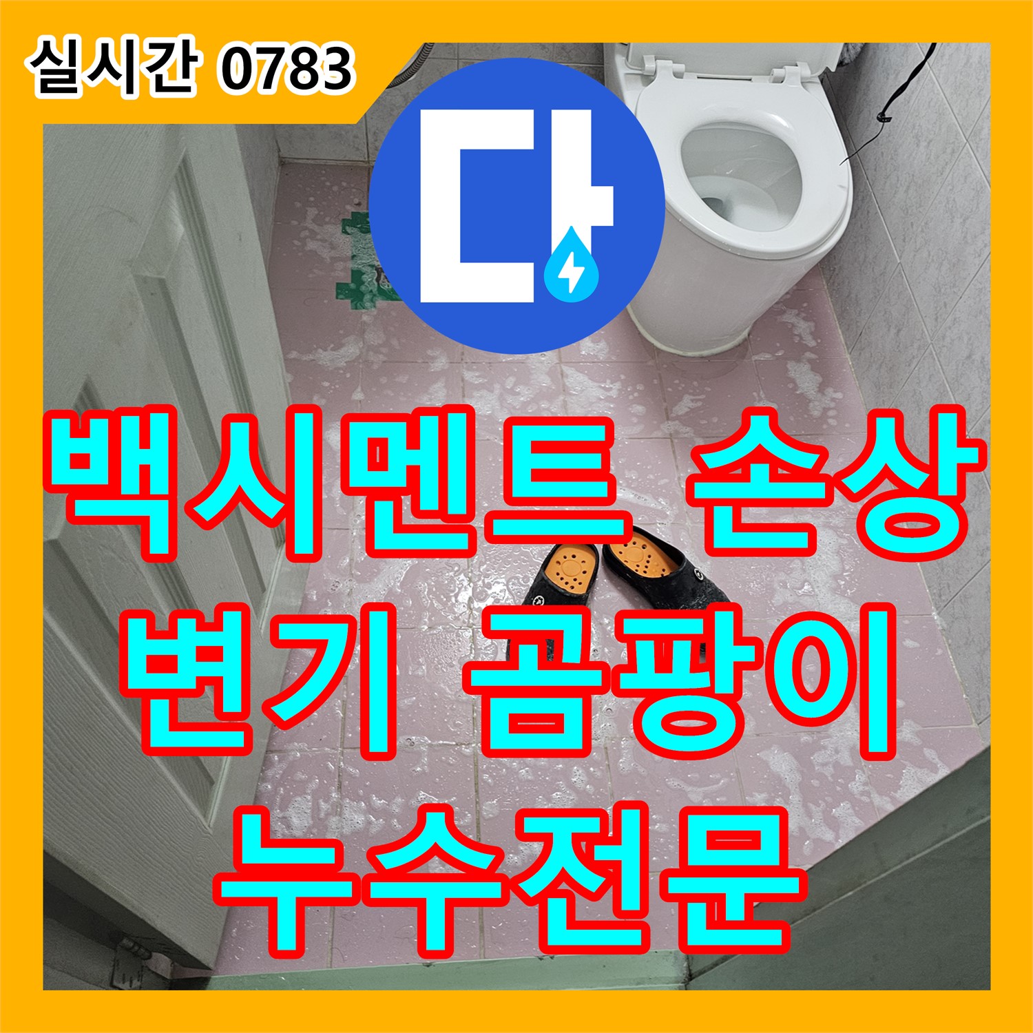 누수전문, 변기 하부 백시멘트 손상으로 인한 누수와 곰팡이 발생 - 신대방동