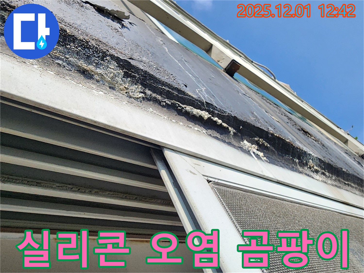 포천 이동면 누수 - 창문 실리콘의 심한 오염과 곰팡이 상태를 보여주는 사진입니다.
