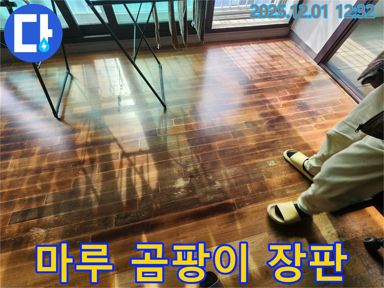 포천 이동면 도평리 누수 - 마루 곰팡이, 장판 밑에 숨겨진 검은 그림자