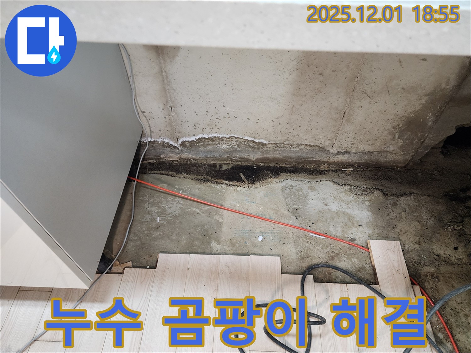 포천시 이동면 연곡리 싱크대 누수 - 곰팡이 문제 해결 과정 상세 공개