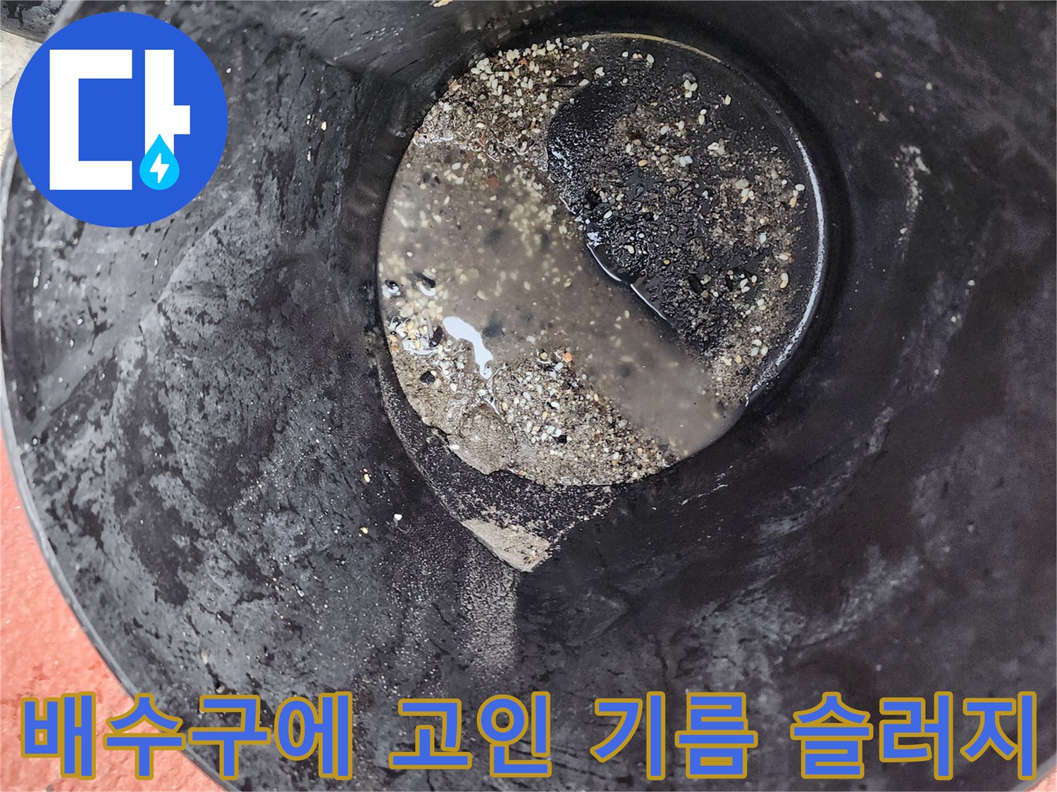 포천 이동면 식당 주방 배수구에서 수거된 검은색 기름 슬러지와 오물 상태