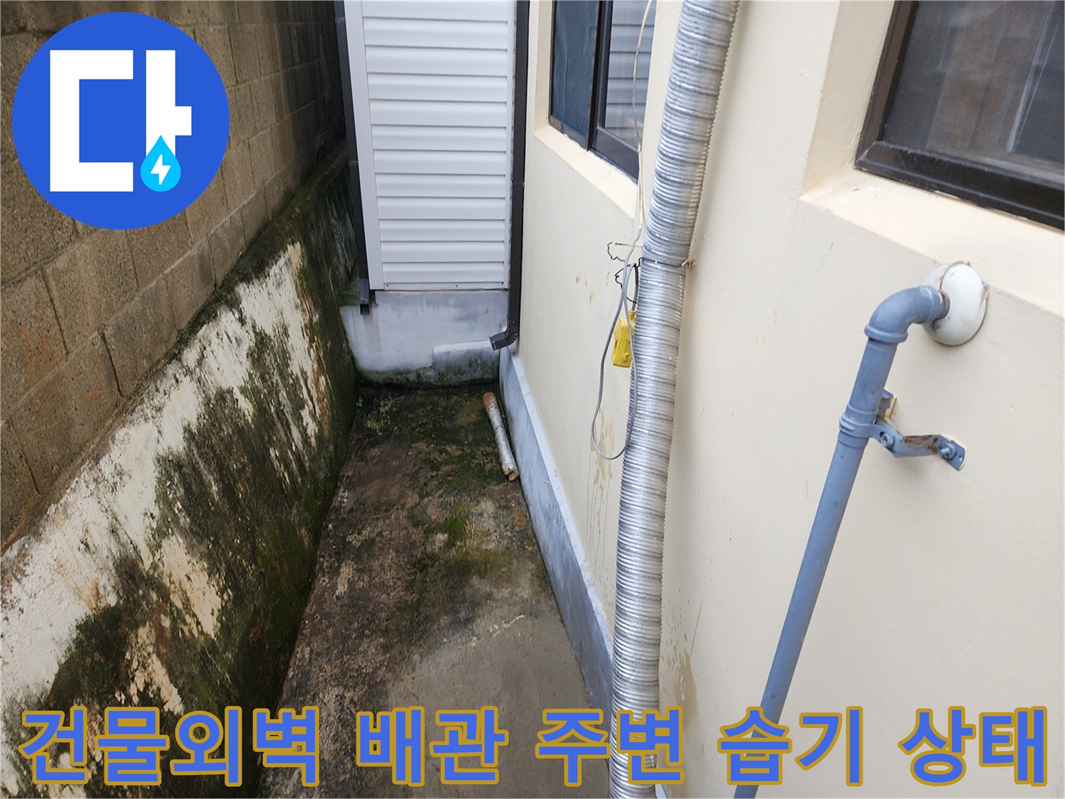 건물 외벽 하단 배관 주변의 젖은 토양과 벽면 오염 상태를 보여주는 사진입니다.