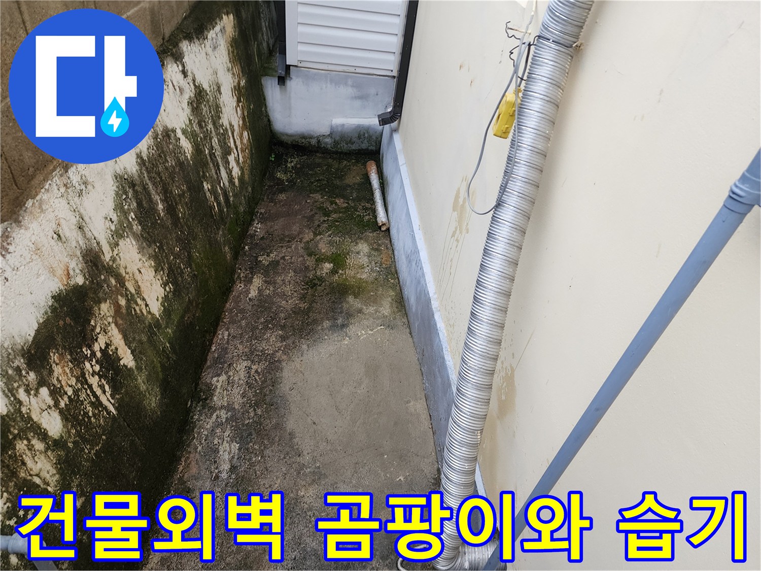 건물 외벽 하단부-이끼와 곰팡이가 발생한 지면 상태