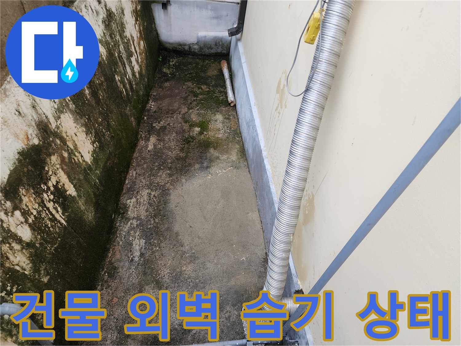 건물-외벽-하단부의-습기와-곰팡이-상태를-촬영한-사진입니다