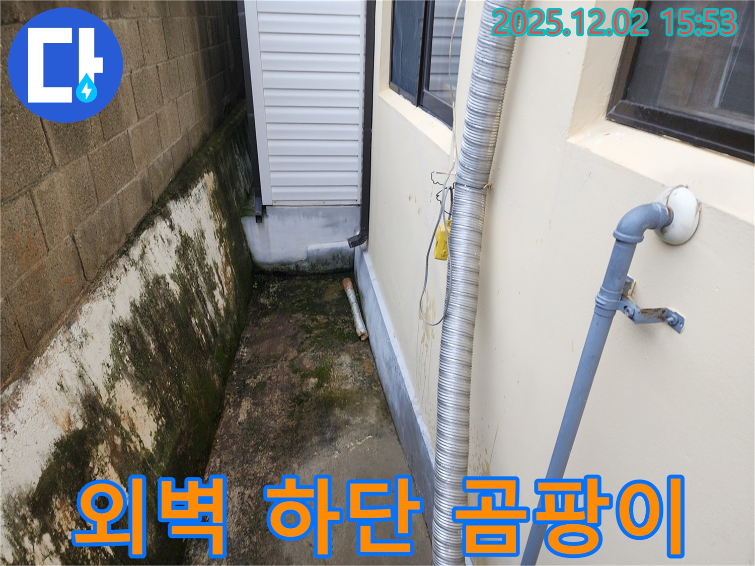 경기도 포천시 일동면 길명리 외벽 하단 - 곰팡이, 습기 문제 해결 전문가