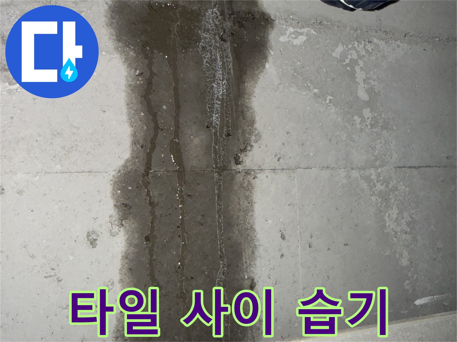 동두천 지행동 동양엔파트 아파트 - 타일 사이 습기 - 누수 의심