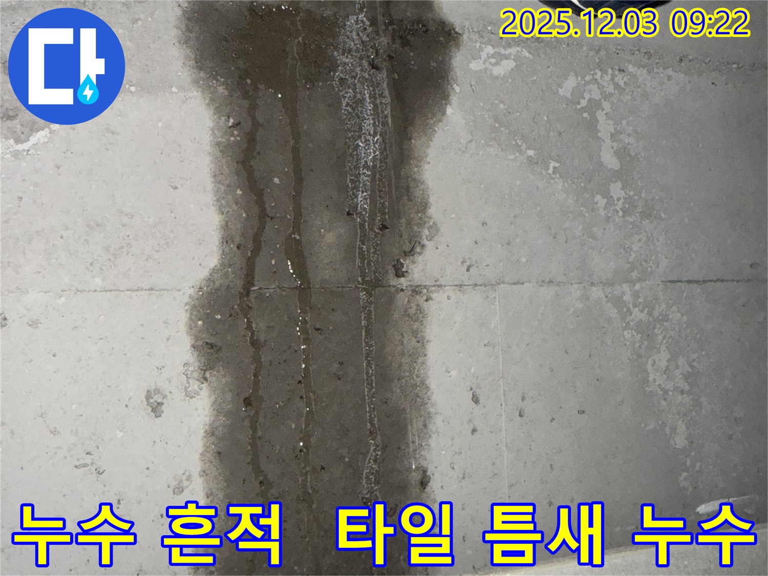 지행동 동양엔파트 아파트 누수 현장 - 타일 틈새로 인한 누수 흔적과 전문적인 누수 해결 과정