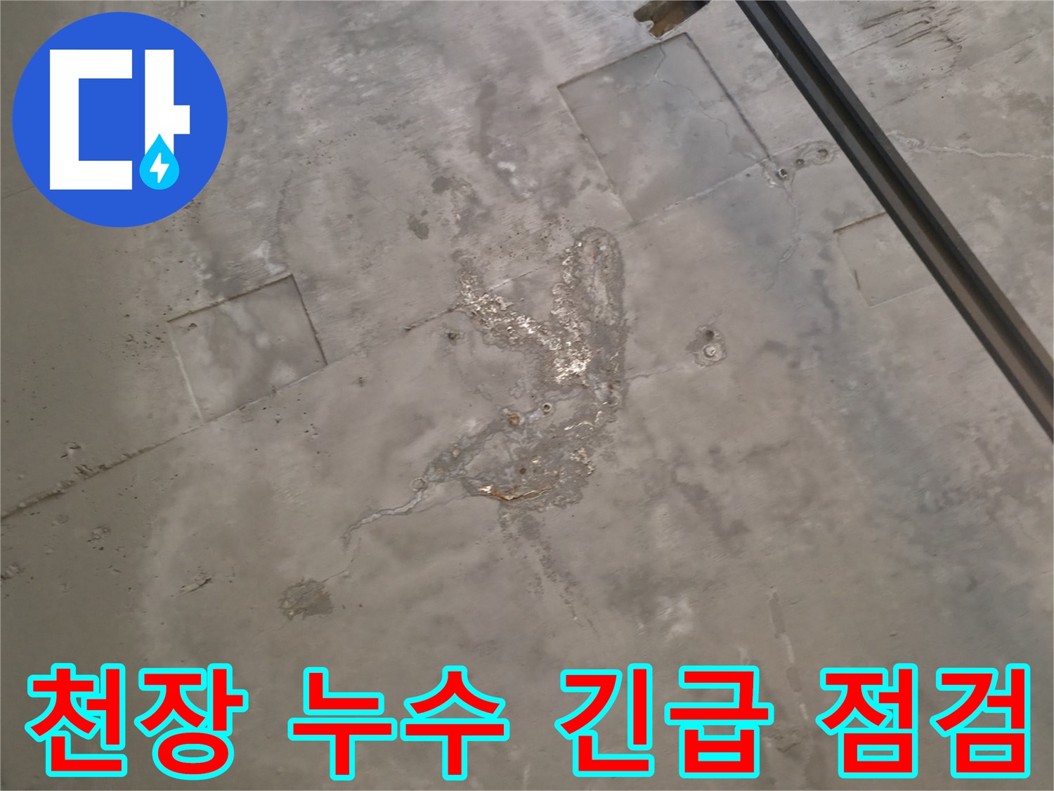 수원 곡반정동 천장 누수 현장 - 긴급 점검으로 누수 원인을 파악하고 곰팡이 확산을 막기 위한 초기 대응