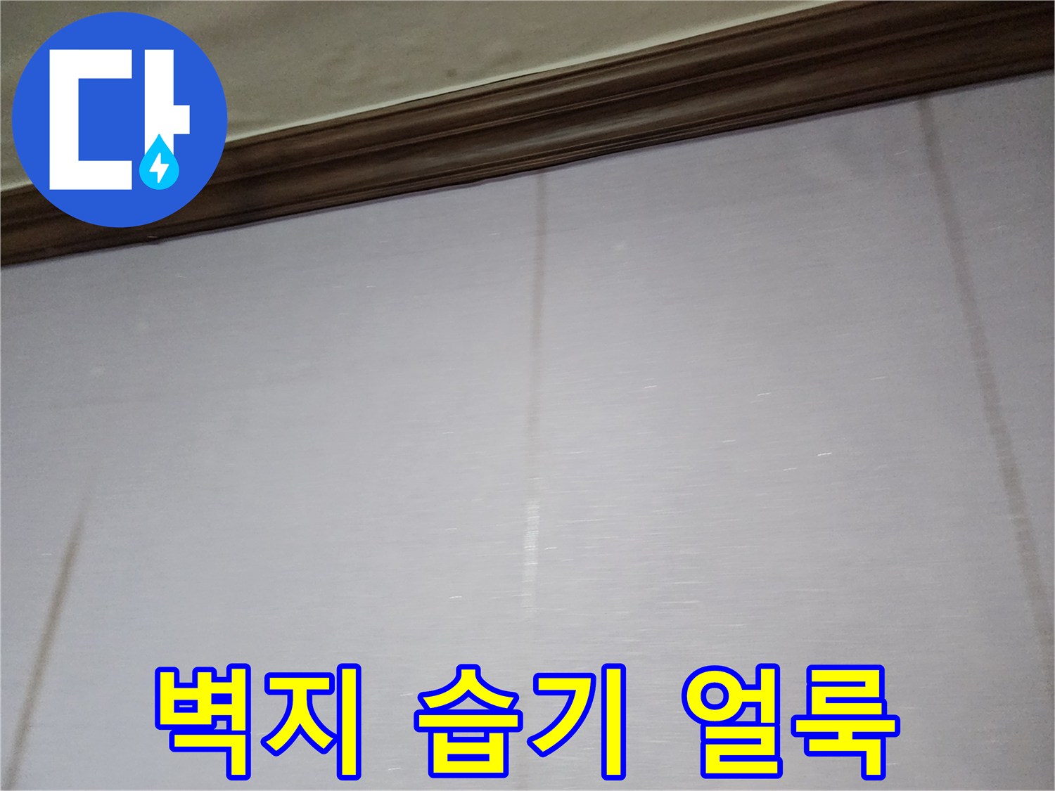 포천 일동면 건물 내부 벽지의 젖은 부위와 변색된 패턴