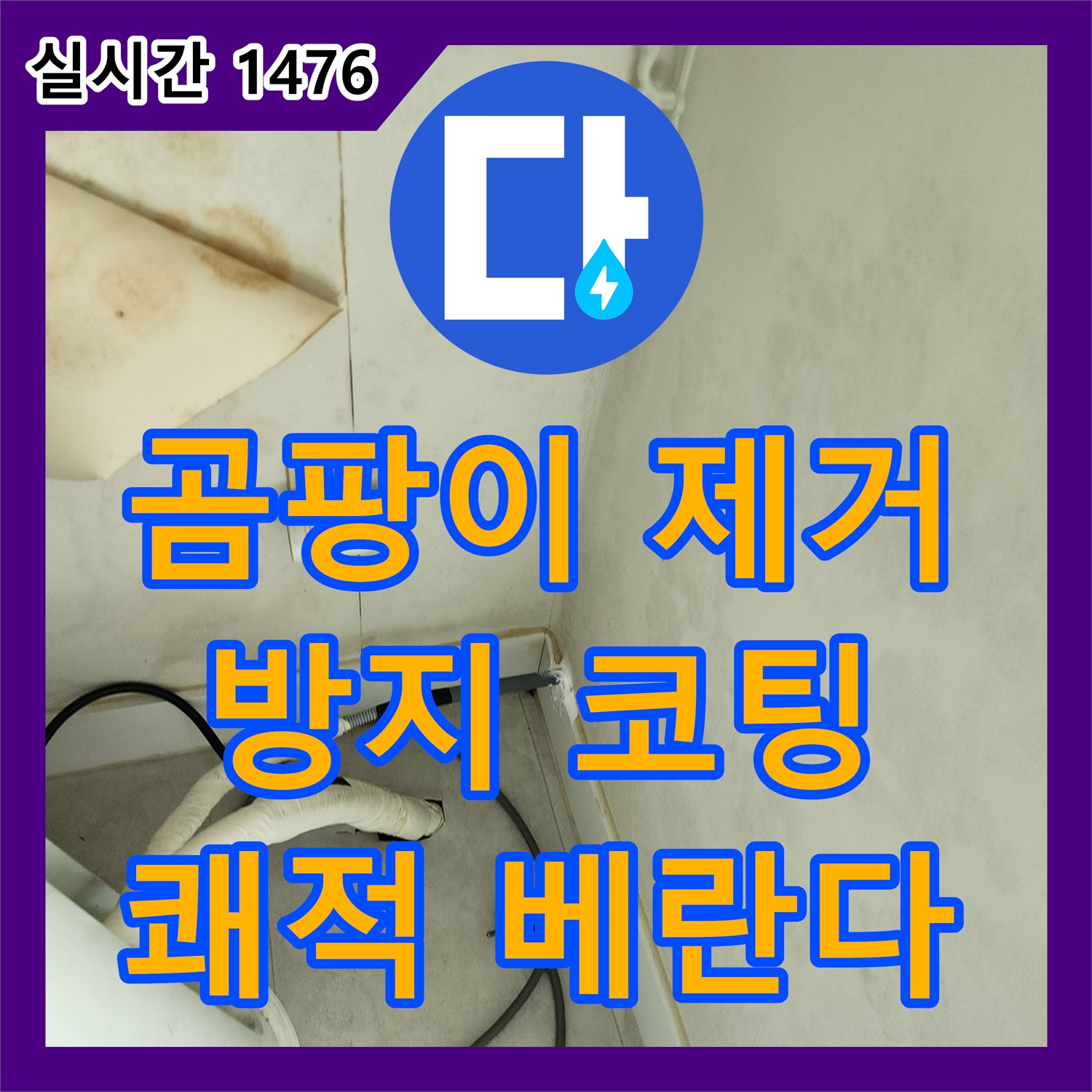 누수전문업체, 포천시 일동면, 베란다 곰팡이, 완벽 제거 후 곰팡이 방지 코팅 시공