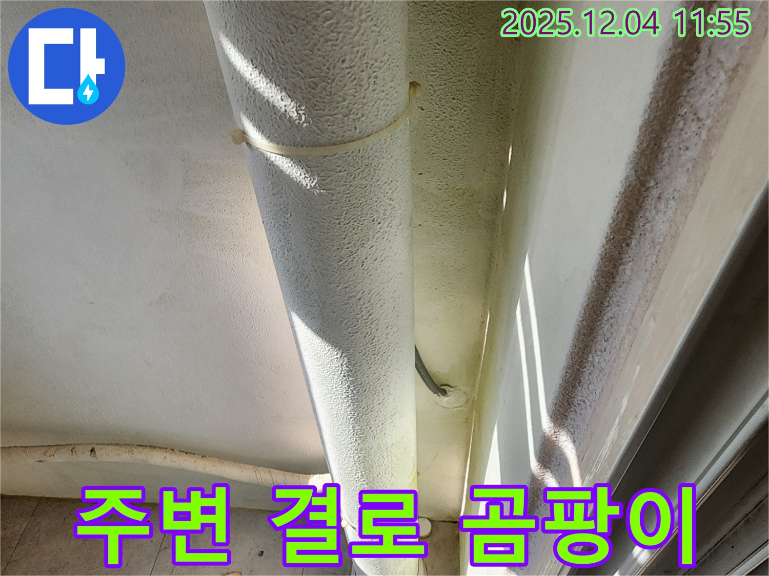 포천시 일동면 기산리 누수 현장에서 배관 주변 결로 현상을 확인합니다 - 곰팡이 발생 위험 증가.
