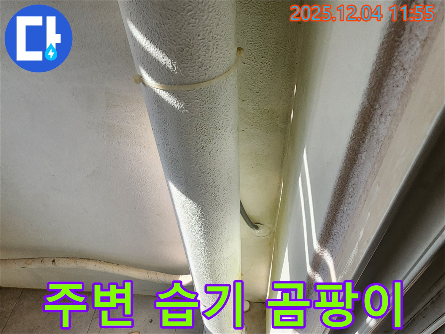 포천시 일동면 누수 현장 - 배관 주변 습기, 누수 가능성과 곰팡이 발생 위험이 있습니다.