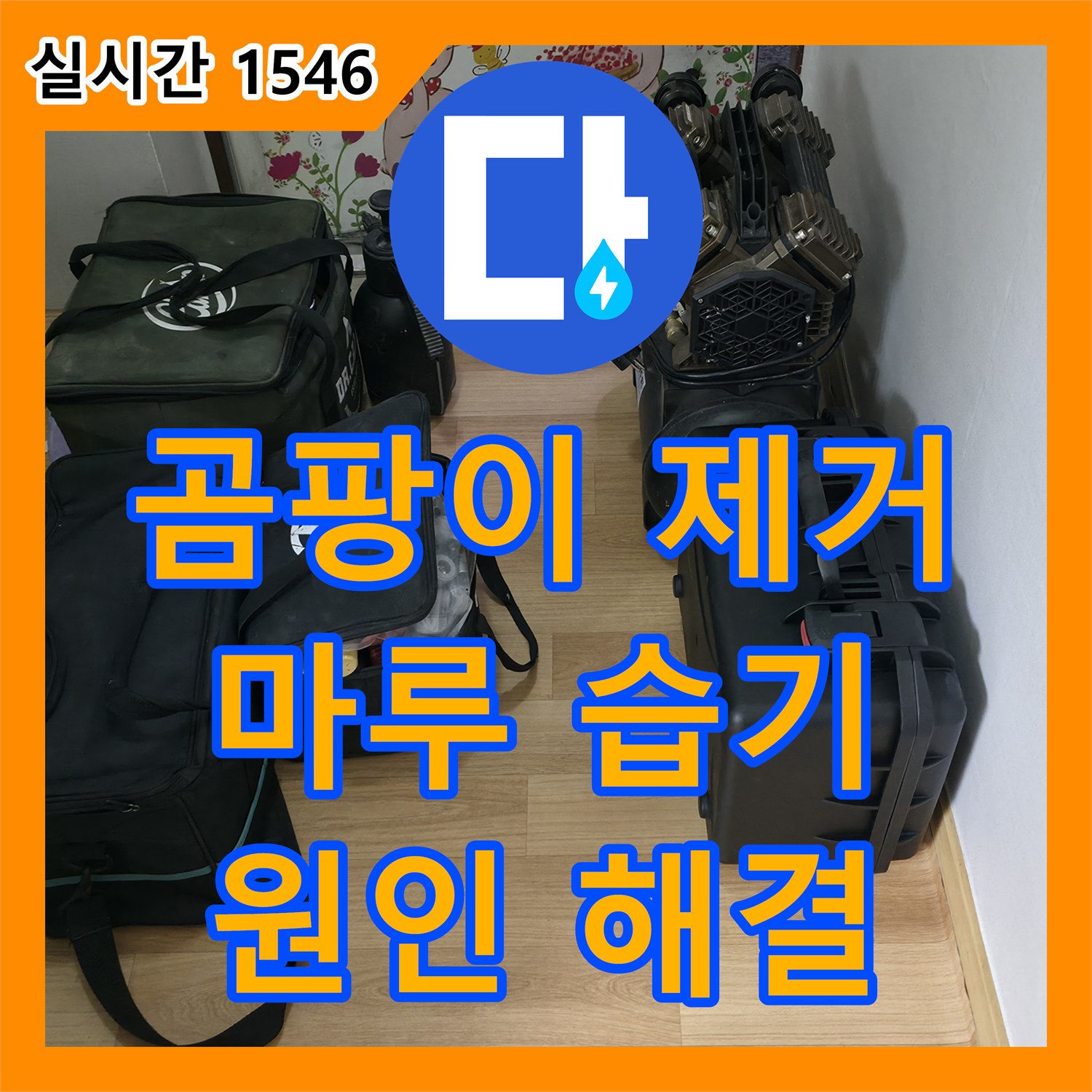 누수탐지전문, 곰팡이 슨 마루, 상동에서 원인 찾고 해결까지!