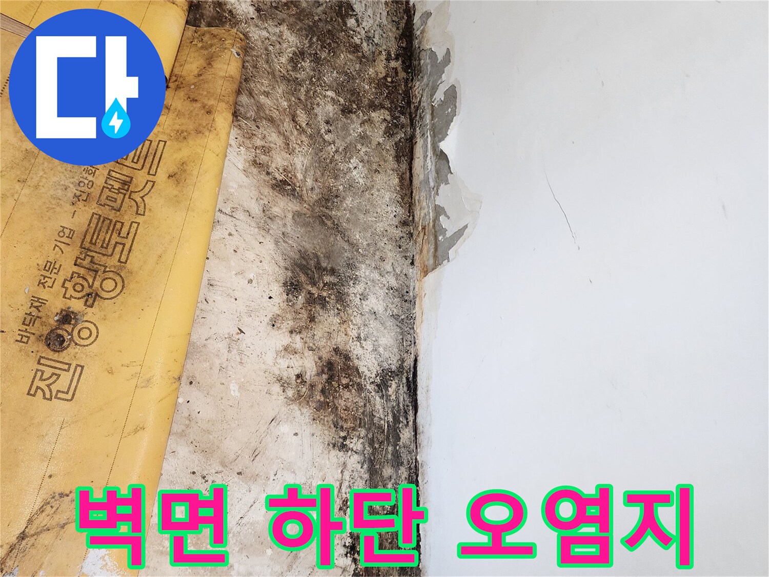 바닥과 벽 경계-곰팡이와 습기가 가득한 현장 상태