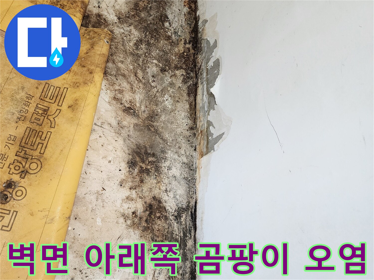 습기가 스며들어 검게 변한 벽체와 바닥의 경계 부위