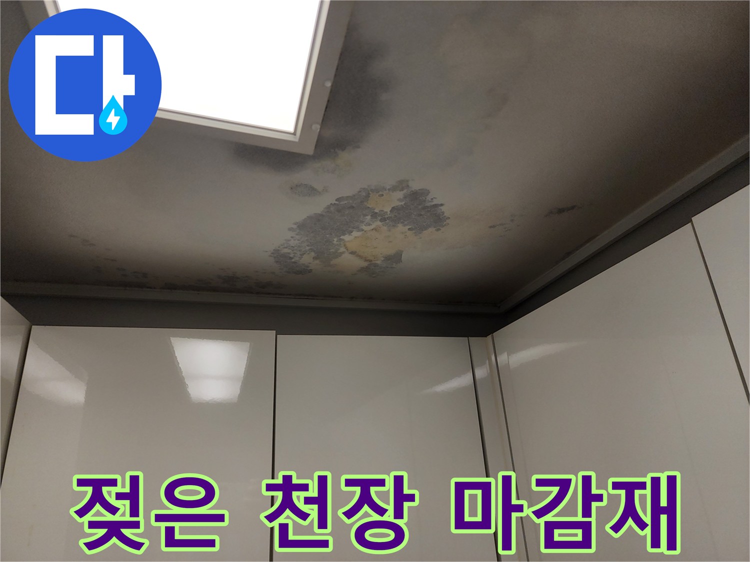 천장 면적 전체에 퍼진 불규칙한 습기 얼룩