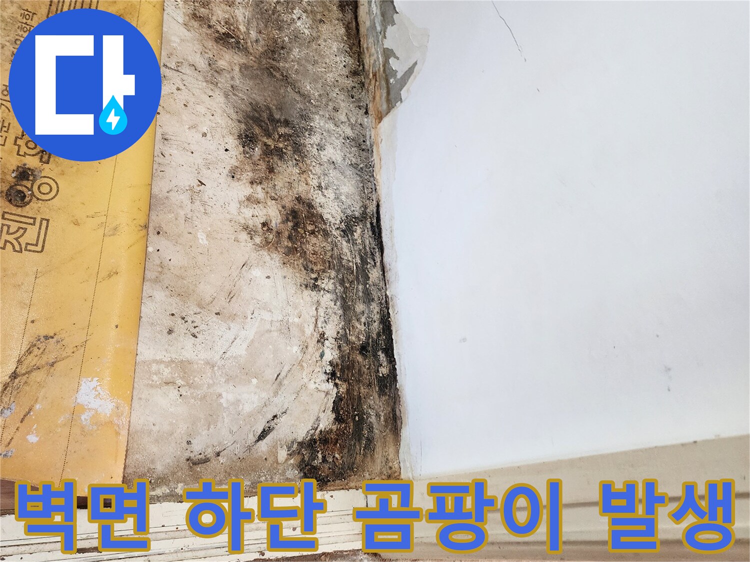 포천 일동면 작업 현장-벽체 아래쪽의 검은 곰팡이와 습한 상태