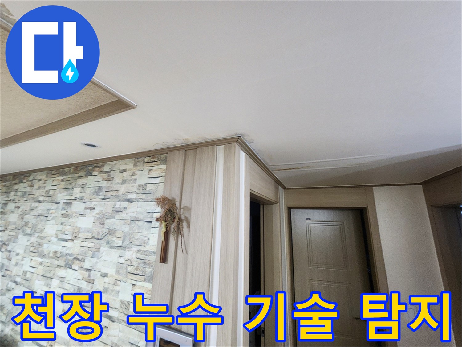 첨단 기술을 사용한 천장 누수 탐지 - 빈틈없이 찾아냅니다.