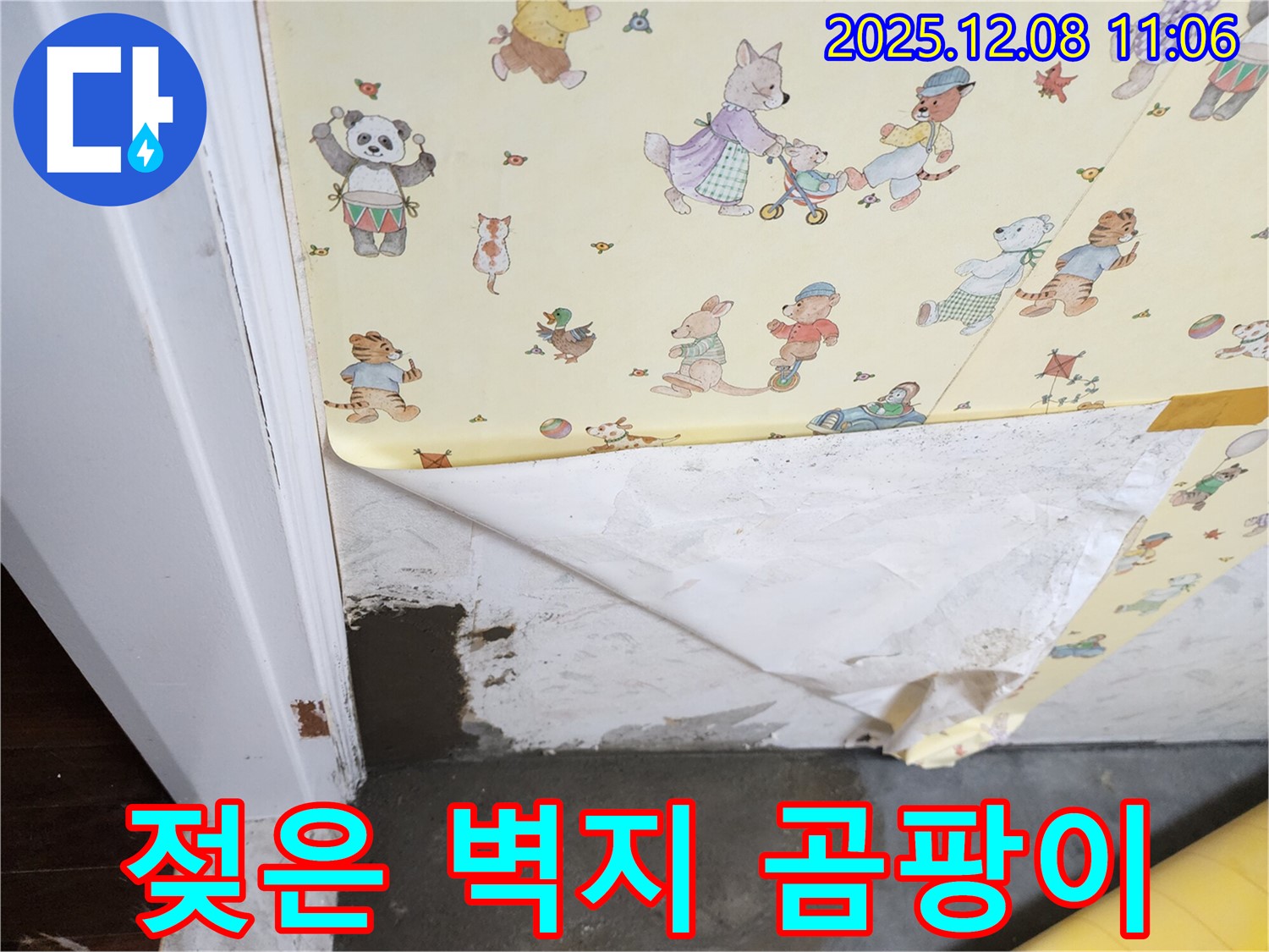 거사리 누수 현장 - 젖은 벽지, 곰팡이 발생, 누수 의심