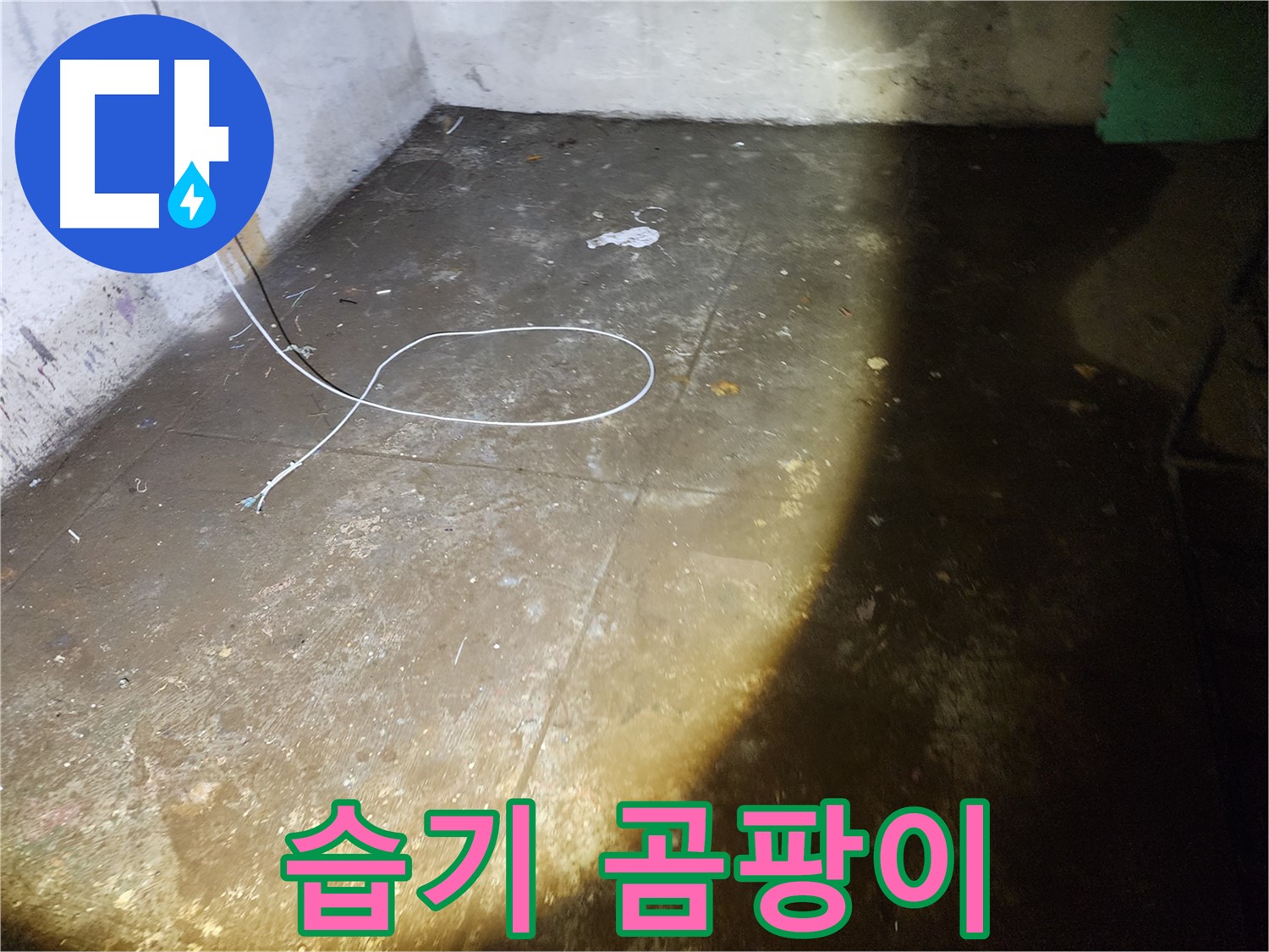 월계동 삼호아파트 지하 누수 - 습기와 곰팡이 발생, 긴급 점검이 필요합니다!