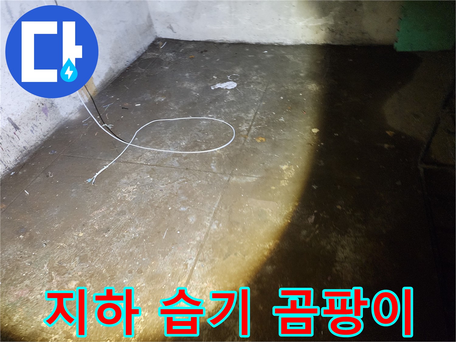월계동 아파트 지하 습기와 곰팡이 문제 - 누수 해결로 쾌적한 환경을 만드세요.
