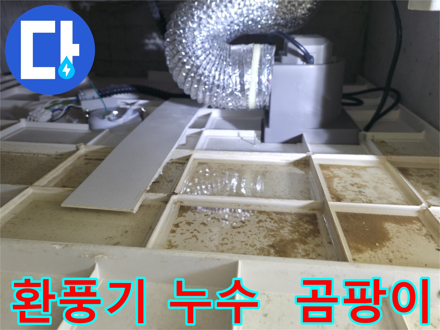 화성 향남 아파트 환풍기 누수로 인한 곰팡이 발생 - 누수 해결 과정