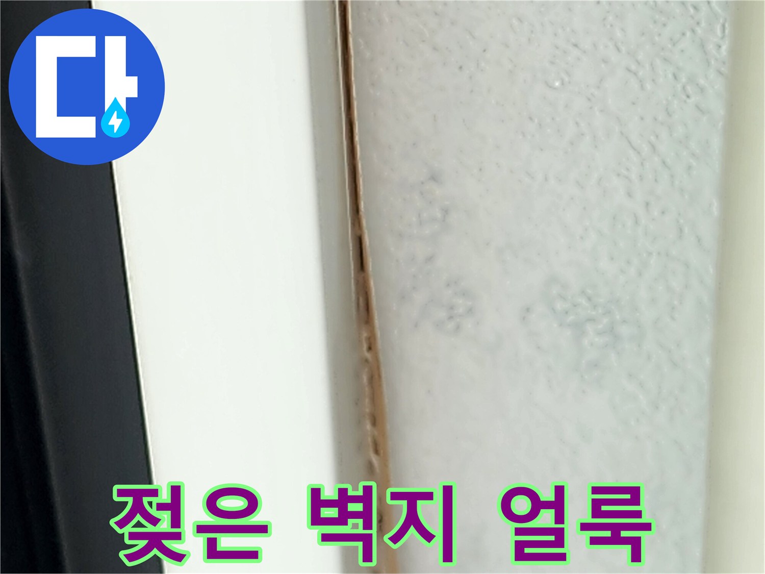습기에 노출된 벽면의 변색 상태 - 현장 진단 사진