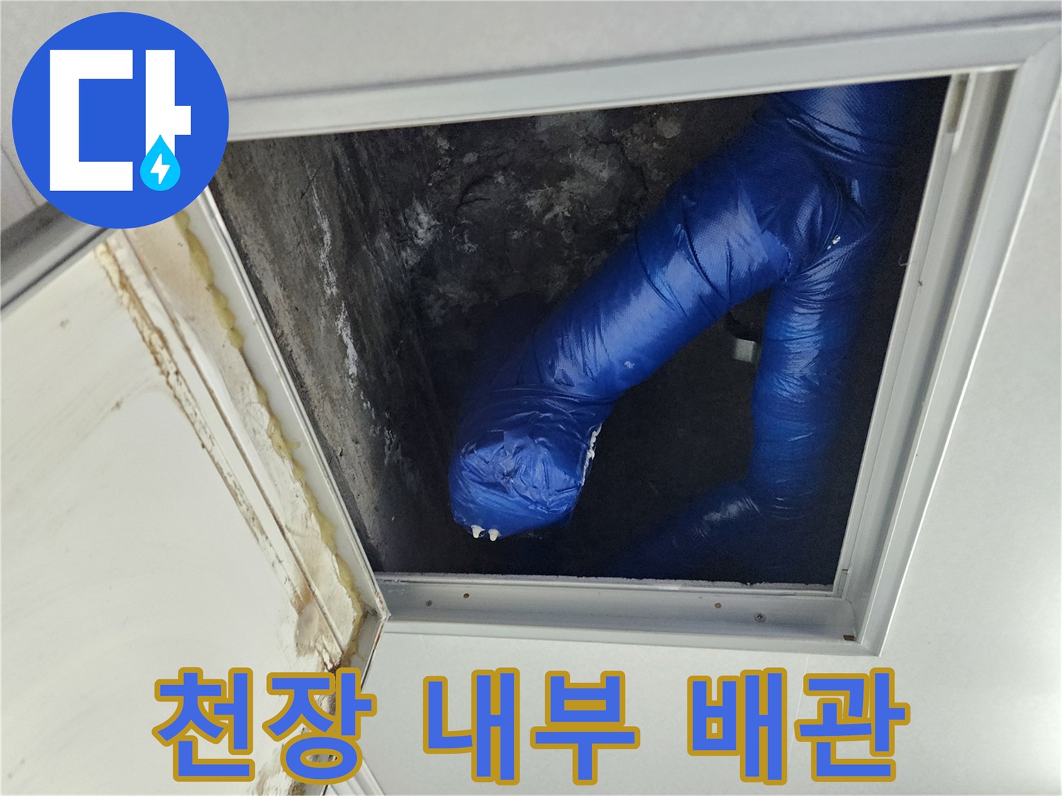 점검구-안쪽의-파란색-배관과-주변-환경