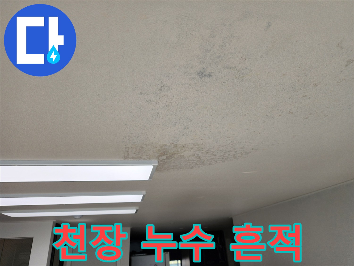 천장 마감재에 나타난 광범위한 물 번짐 현상