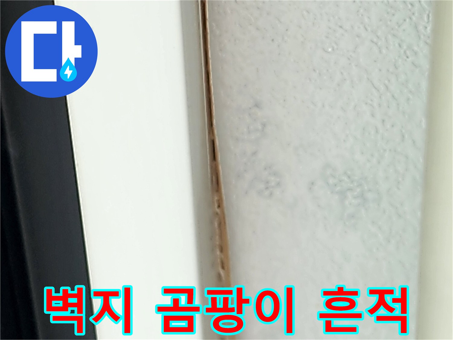 천장 벽면을 따라 번진 습기와 곰팡이 발생 부위