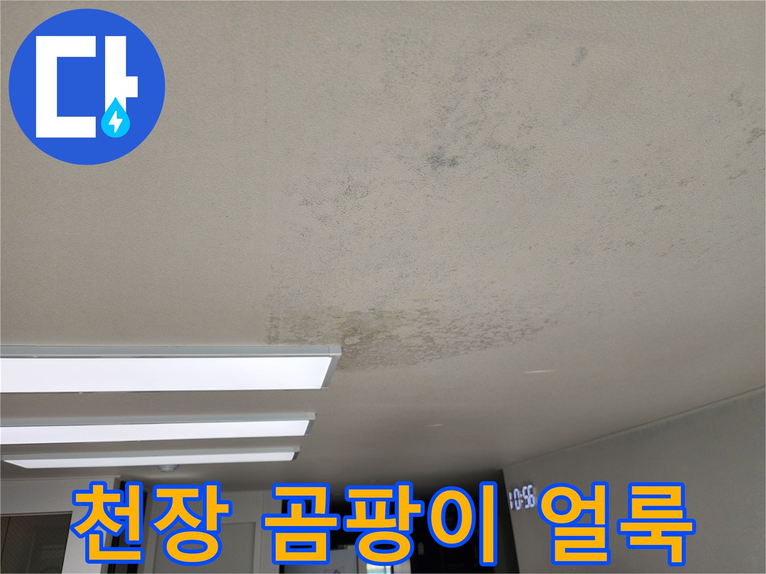 천장 벽지 표면의 누수 및 곰팡이 오염