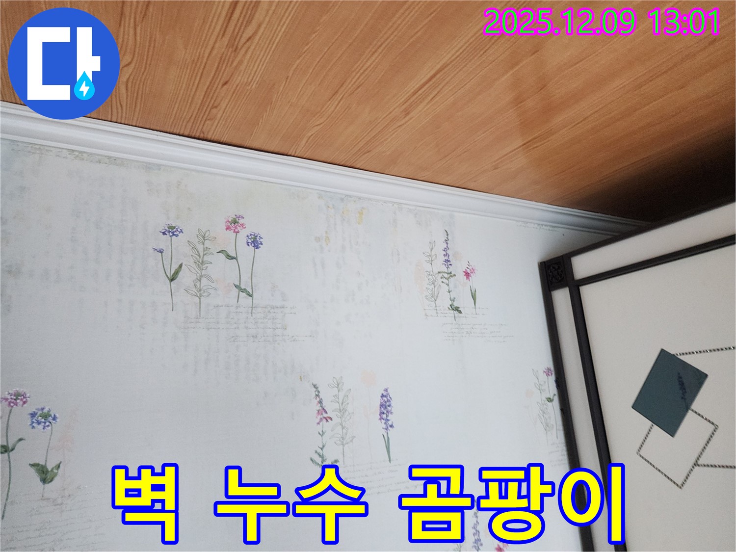 포천 영중면 누수 현장 - 벽에 스며든 물과 곰팡이 초기 증상