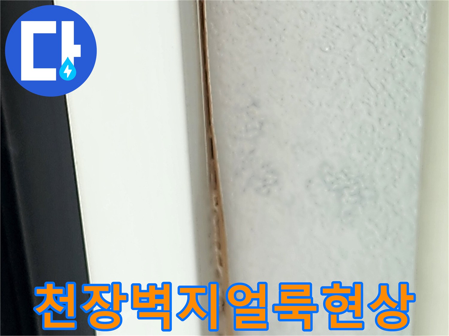 포천영중면-천장-벽지-얼룩과-곰팡이-발생-상태