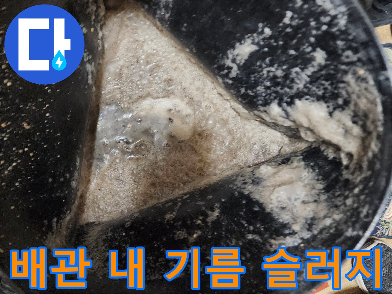 배출된 배수구 이물질과 오염된 물의 상태