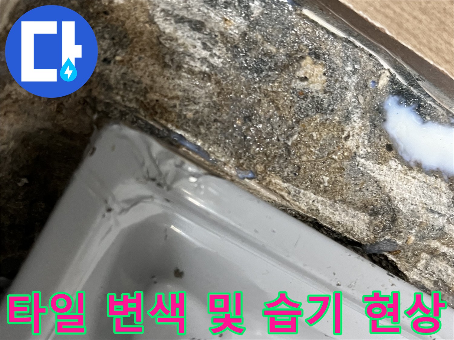 습기로 인해 어둡게 변한 타일 틈새와 배수구 경계 부위의 모습입니다.