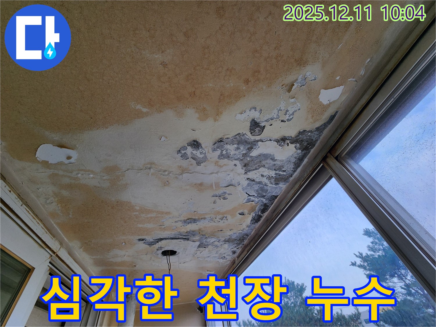 경기도 포천시 영중면 남궁리 - 심각한 천장 누수 피해 현장 - 곰팡이와 페인트 벗겨짐