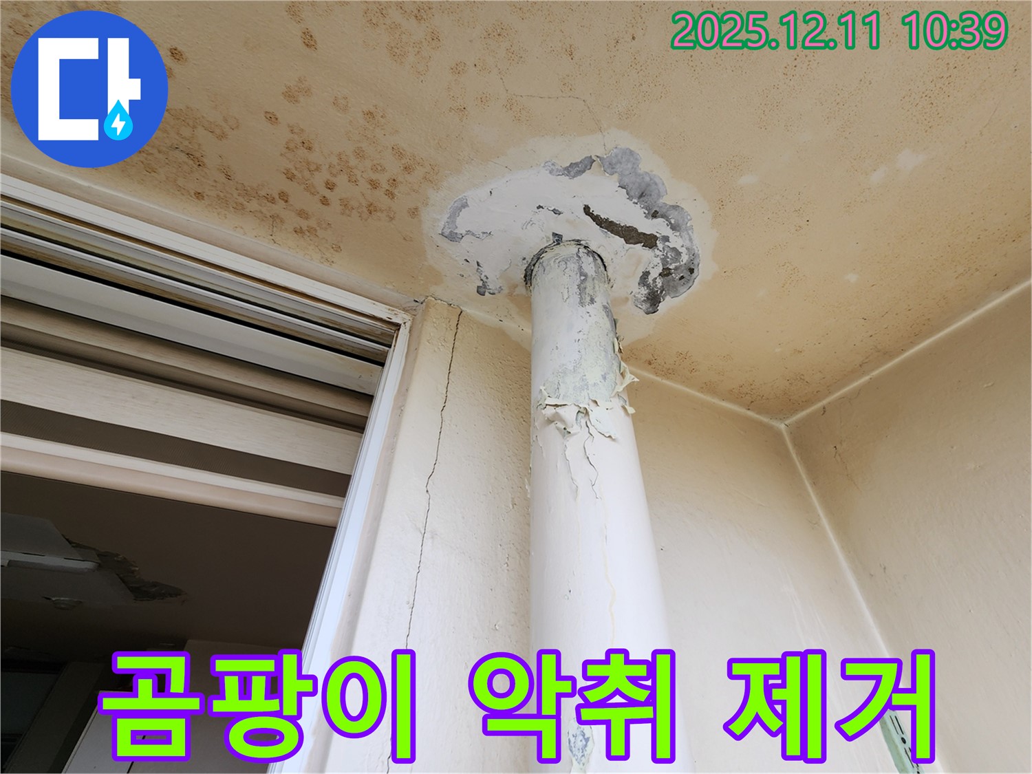 곰팡이 악취 - 천장 누수 - 제거 완벽 시공