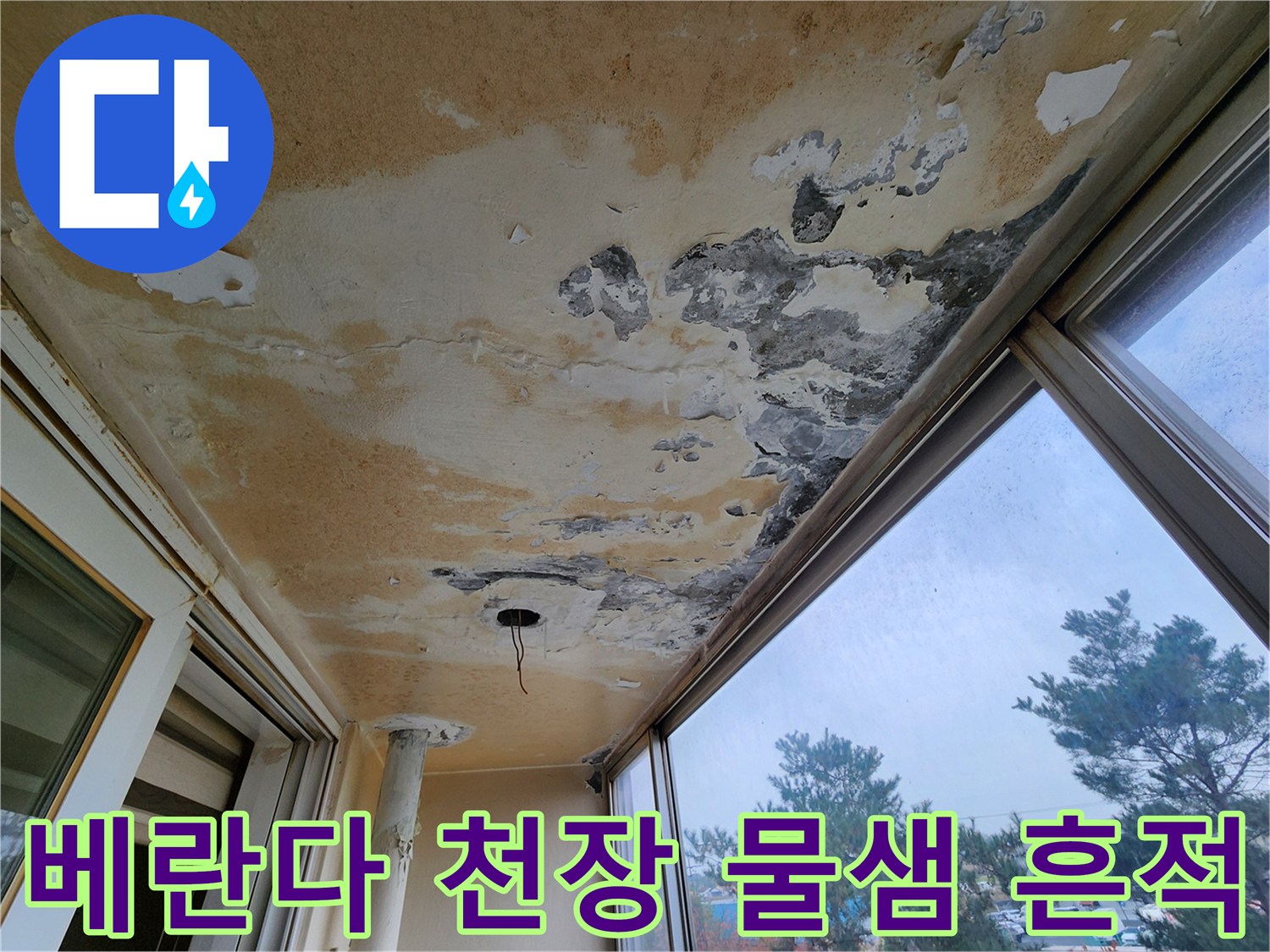 물샘 현상으로-황색 변색과 페인트가 탈락된 베란다 천장 전경