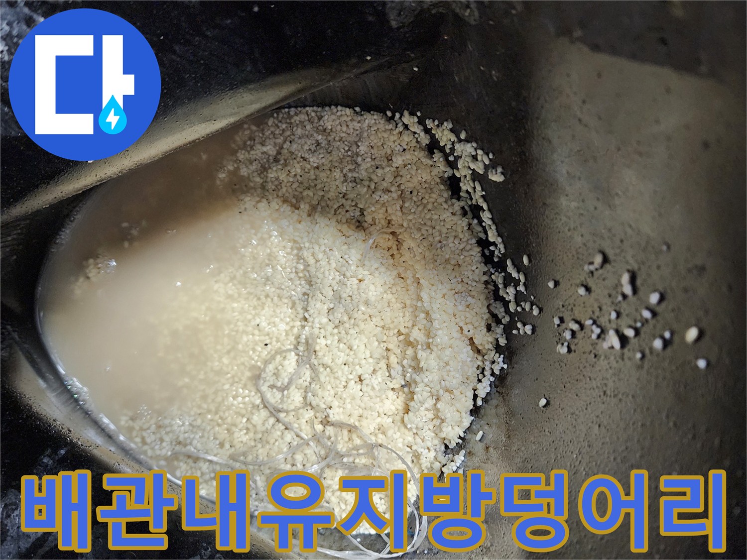 배수구-내부에서-추출된-심각한-오염물과-찌꺼기