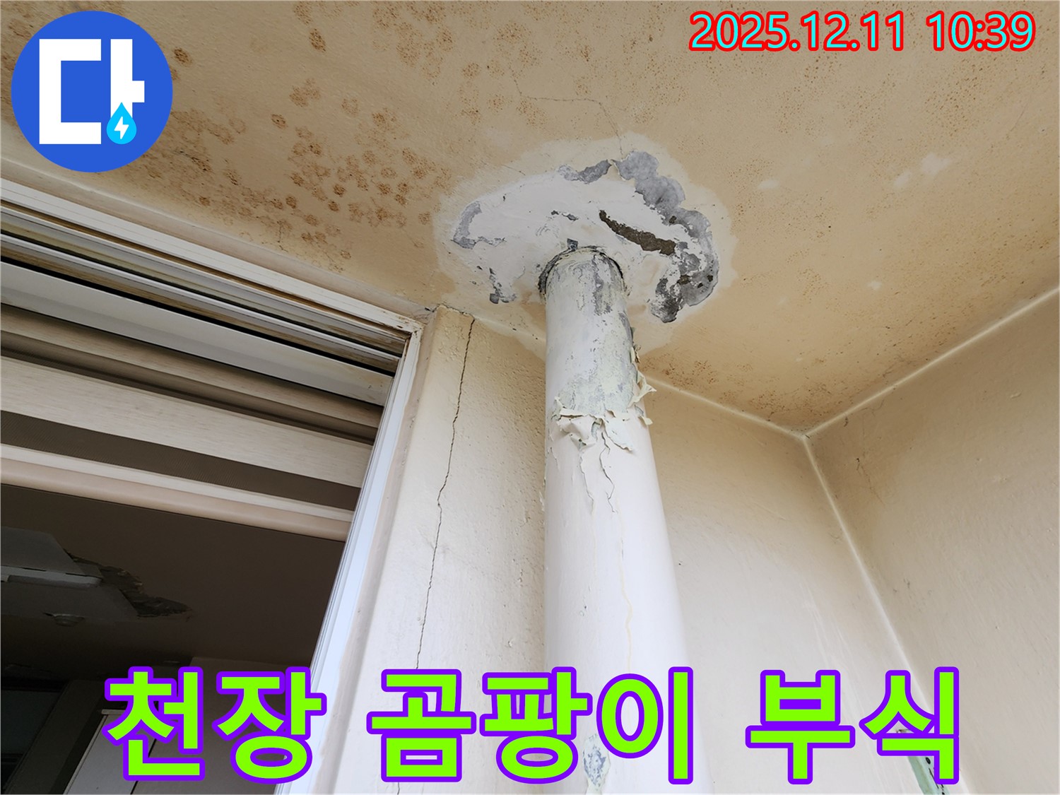 심각한 천장 오염 - 곰팡이 - 배관 부식 - 긴급 점검