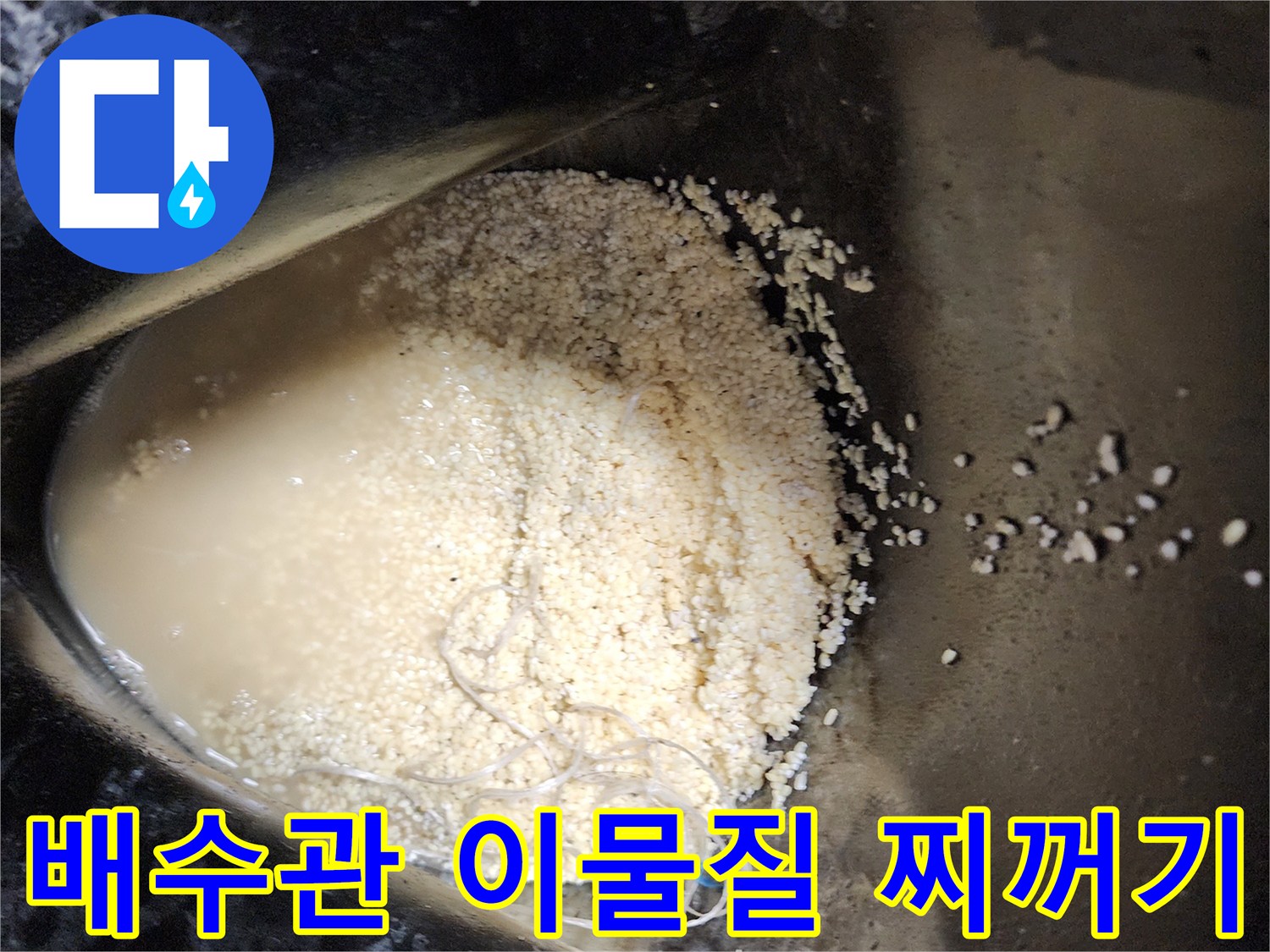 싱크대-배수관에서-추출된-탁한-오물과-슬러지-덩어리