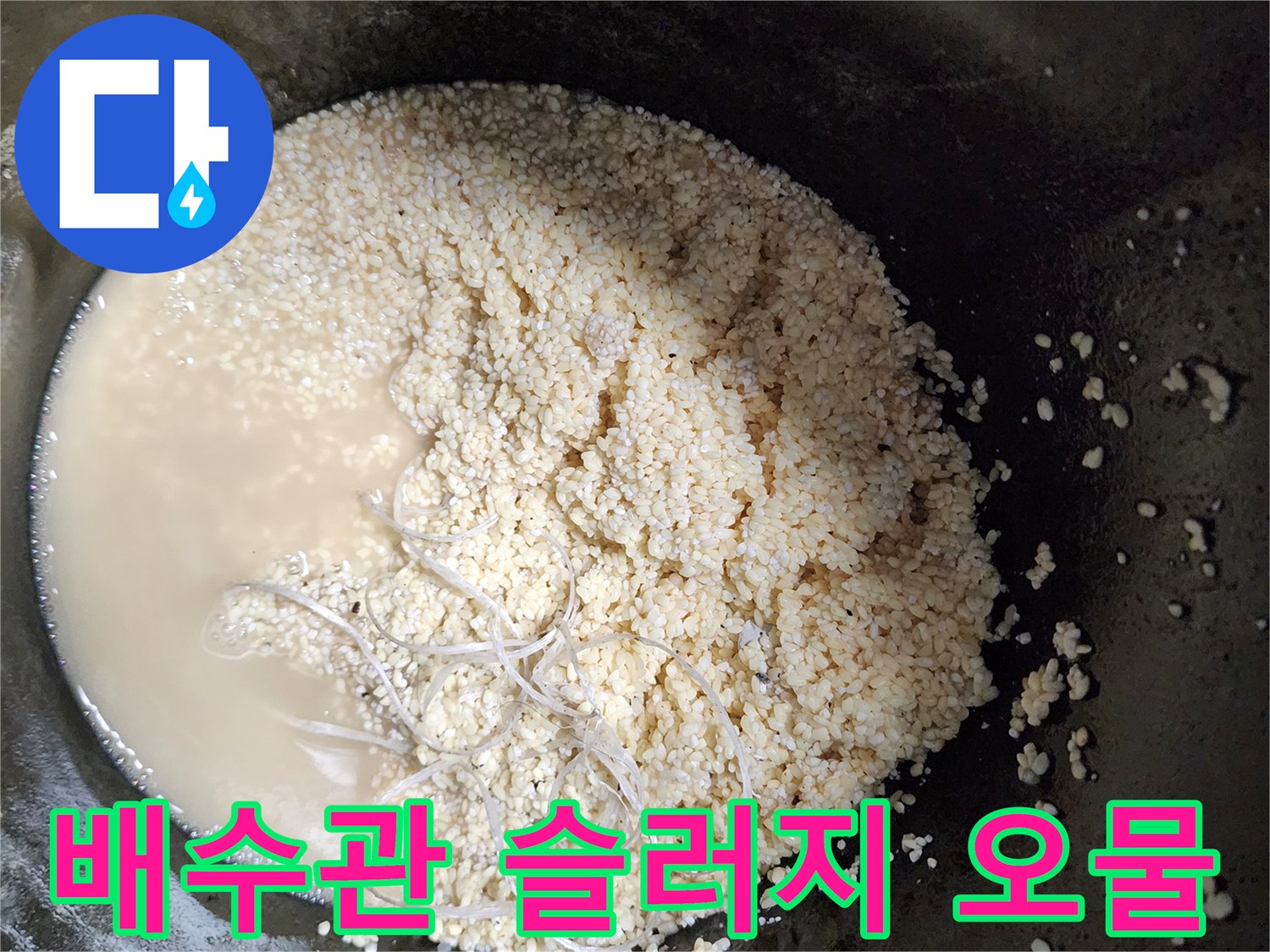 싱크대 배수관에서 추출된 하얀색 유지방 덩상과 탁한 오수