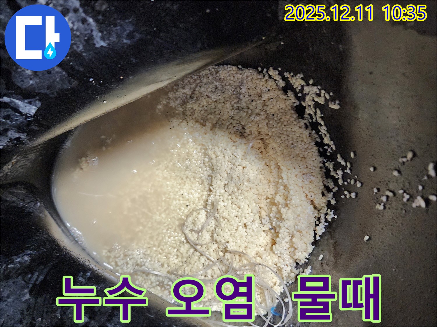 포천시 영중면 남궁리 누수 현장 - 누수로 인한 오염과 물때가 심각한 모습입니다.
