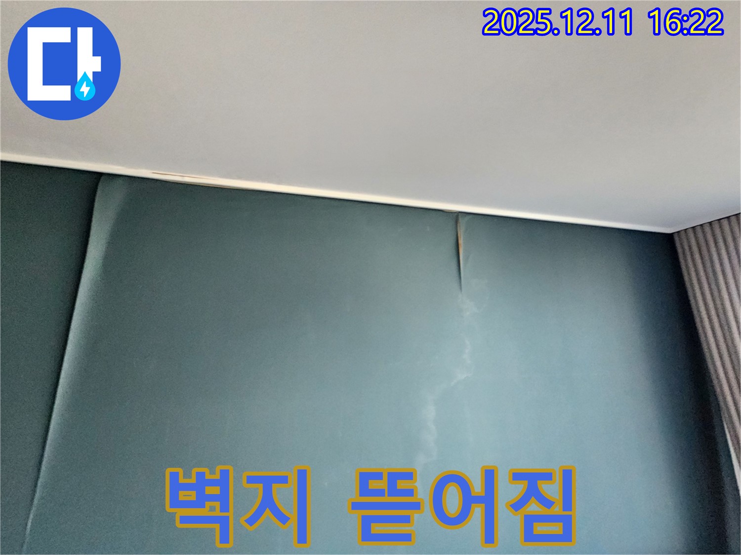 곰팡이가 핀 곳 주변으로 벽지가 뜯어진 모습 - 누수로 인해 벽지가 손상된 것입니다 - 빠른 조치가 필요합니다.